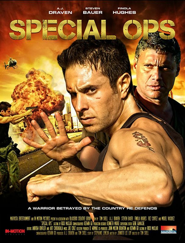 Affiche du film Spécial OPS (2010) de Tom Shell. Voir Spécial OPS en streaming / torrent sur meilleurs-films.fr
