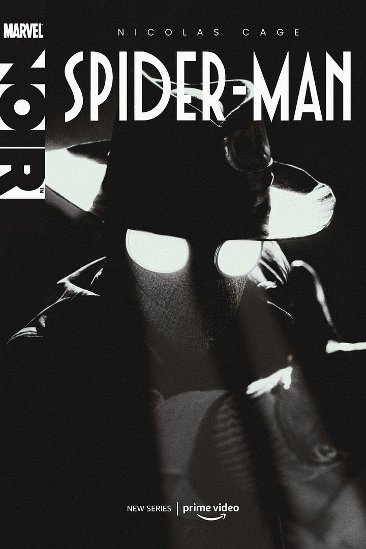 Affiche de la série Spider-Noir (2026) de . Voir Spider-Noir en streaming / torrent sur meilleurs-films.fr