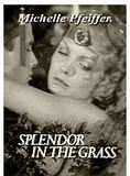 Affiche du film Splendor in the Grass (1981) de Richard C. Sarafian Affiche du film Splendor in the Grass (1981) de Richard C. Sarafian. Voir Splendor in the Grass en streaming / torrent sur meilleurs-films.fr