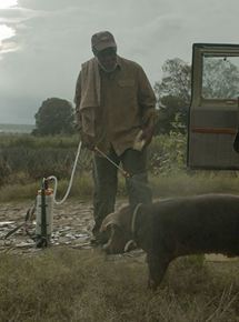 Affiche du film Sr. Pig (2016) de Diego Luna Affiche du film Sr. Pig (2016) de Diego Luna. Voir Sr. Pig en streaming / torrent sur meilleurs-films.fr