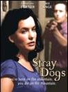 Affiche du film Stray Dogs (2002) de Catherine Crouch Affiche du film Stray Dogs (2002) de Catherine Crouch. Voir Stray Dogs en streaming / torrent sur meilleurs-films.fr