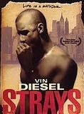 Affiche du film Strays (1997) de Vin Diesel. Voir Strays en streaming / torrent sur meilleurs-films.fr