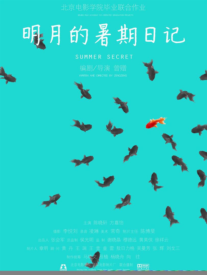 Affiche du court métrage Summer Secret (2014) de Zeng Zeng. Voir Summer Secret en streaming / torrent sur meilleurs-films.fr