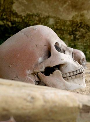 Affiche de la série Sur les sentiers de l’histoire (2022) de . Voir Sur les sentiers de l’histoire en streaming / torrent sur meilleurs-films.fr