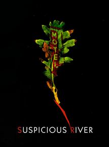 Affiche du film Suspicious river (2000) de Lynne Stopkewich. Voir Suspicious river en streaming / torrent sur meilleurs-films.fr