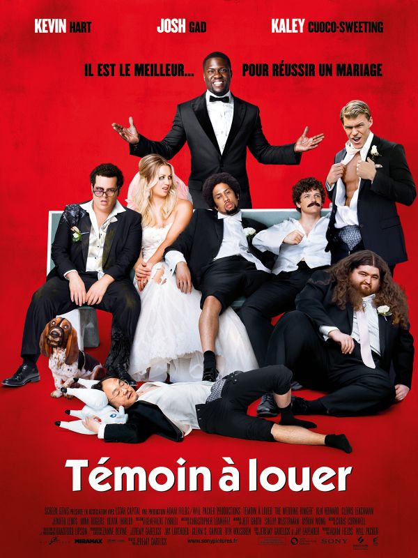 Affiche du film Témoin à louer (2015) de Jeremy Garelick Affiche du film Témoin à louer (2015) de Jeremy Garelick. Voir Témoin à louer en streaming / torrent sur meilleurs-films.fr