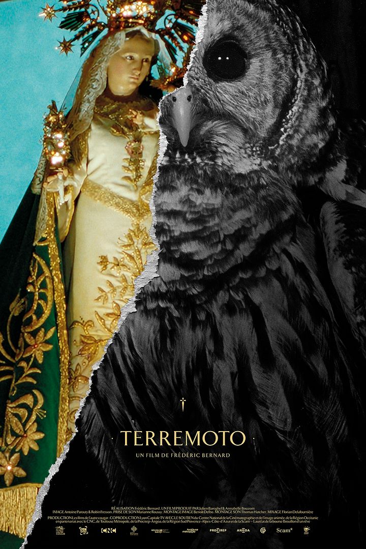 Affiche du film Terremoto (2024) de . Voir Terremoto en streaming / torrent sur meilleurs-films.fr