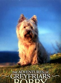 Affiche du film The Adventures Of Greyfriars Bobby (2005) de John Henderson Affiche du film The Adventures Of Greyfriars Bobby (2005) de John Henderson. Voir The Adventures Of Greyfriars Bobby en streaming / torrent sur meilleurs-films.fr