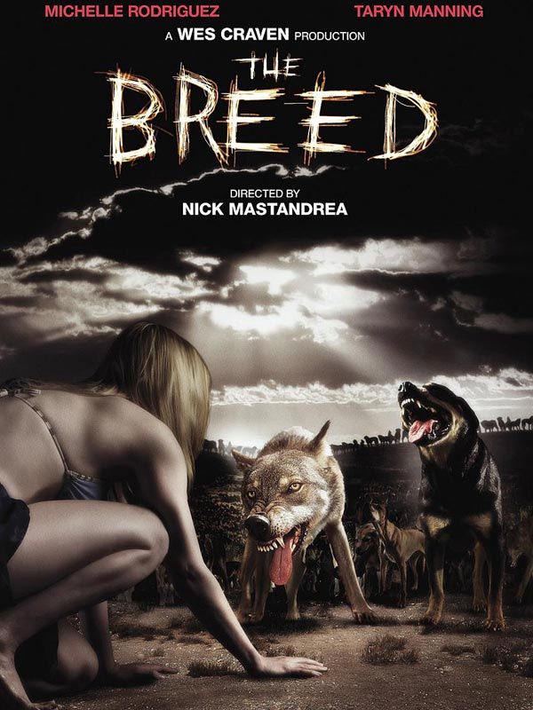 Affiche du film The Breed (2005) de Nicholas Mastandrea Affiche du film The Breed (2005) de Nicholas Mastandrea. Voir The Breed en streaming / torrent sur meilleurs-films.fr