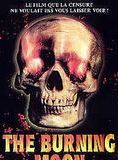 Affiche du film The Burning Moon (1992) de Olaf Ittenbach Affiche du film The Burning Moon (1992) de Olaf Ittenbach. Voir The Burning Moon en streaming / torrent sur meilleurs-films.fr