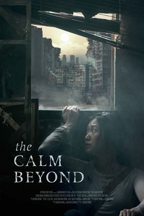 Affiche du film The Calm Beyond (2020) de Kara Wang. Voir The Calm Beyond en streaming / torrent sur meilleurs-films.fr