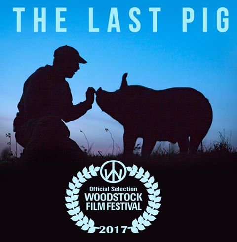 Affiche du court métrage The last pig (2017) de Allison Argo. Voir The last pig en streaming / torrent sur meilleurs-films.fr