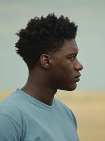 Affiche du film The Last Tree (2019) de Shola Amoo. Voir The Last Tree en streaming / torrent sur meilleurs-films.fr