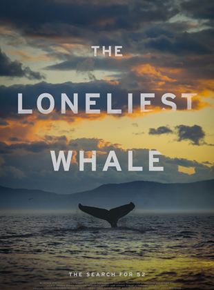 Affiche du film The Loneliest Whale: The Search For 52 (2021) de Joshua Zeman Affiche du film The Loneliest Whale: The Search For 52 (2021) de Joshua Zeman. Voir The Loneliest Whale: The Search For 52 en streaming / torrent sur meilleurs-films.fr