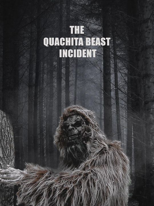 Affiche du film The Quachita Beast incident (2023) de Master Hughes. Voir The Quachita Beast incident en streaming / torrent sur meilleurs-films.fr