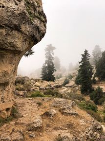 Affiche du film The River (2019) de Ghassan Salhab. Voir The River en streaming / torrent sur meilleurs-films.fr