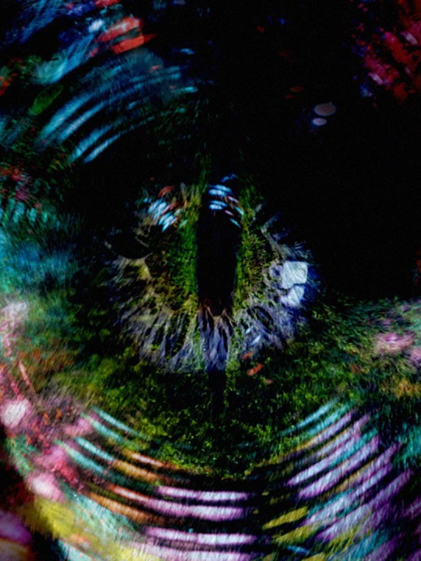 Affiche du court métrage The Spiral () de María Silvia Esteve. Voir The Spiral en streaming / torrent sur meilleurs-films.fr