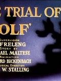 Affiche du court métrage The Trial of Mr. Wolf (1941) de Friz Freleng. Voir The Trial of Mr. Wolf en streaming / torrent sur meilleurs-films.fr