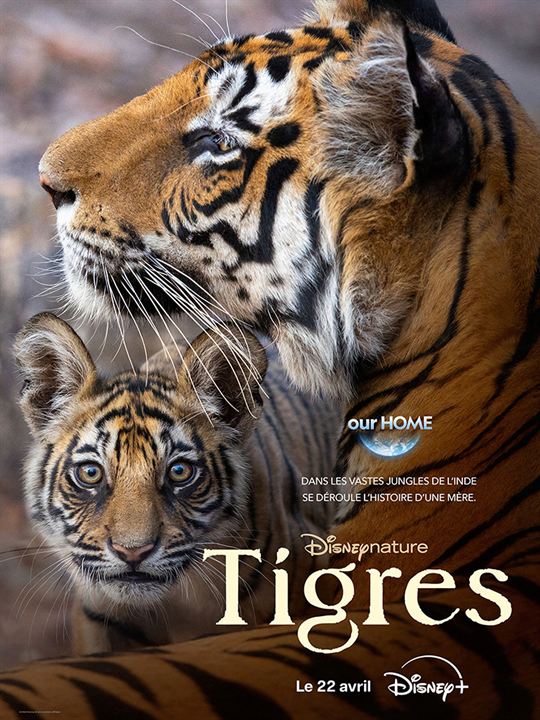 Affiche du film Tigres (2024) de Mark Linfield. Voir Tigres en streaming / torrent sur meilleurs-films.fr
