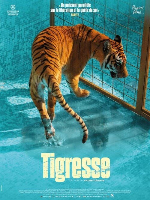 Affiche du film Tigresse (2023) de Andrei Tănase Affiche du film Tigresse (2023) de Andrei Tănase. Voir Tigresse en streaming / torrent sur meilleurs-films.fr