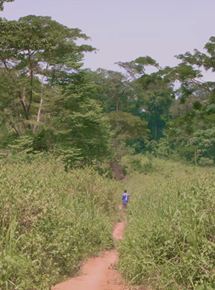 Affiche du film Tinselwood, Une forêt (2017) de Marie Voignier. Voir Tinselwood, Une forêt en streaming / torrent sur meilleurs-films.fr