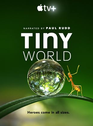Affiche de la série Tiny World (2020) de Tom Hugh-Jones Affiche de la série Tiny World (2020) de Tom Hugh-Jones. Voir Tiny World en streaming / torrent sur meilleurs-films.fr
