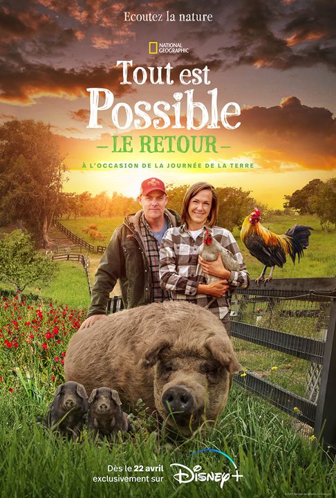 Affiche du court métrage Tout est possible : le retour (2022) de John Chester Affiche du court métrage Tout est possible : le retour (2022) de John Chester. Voir Tout est possible : le retour en streaming / torrent sur meilleurs-films.fr