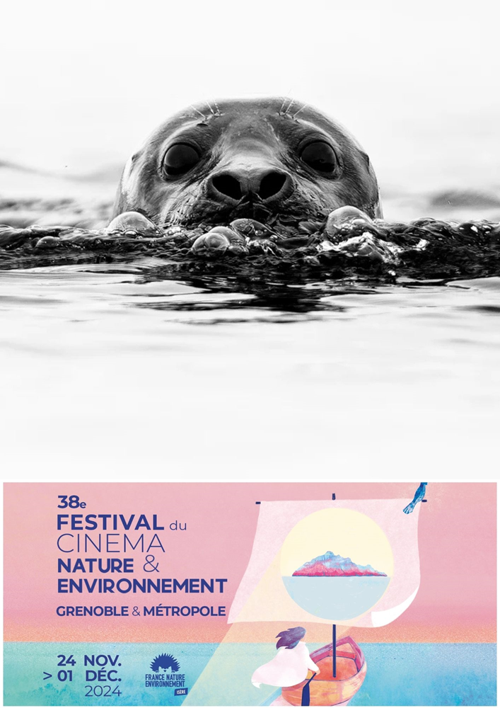 Affiche du film Trésors de l’Arctique : Entre Terre et Mer – Festival du Cinéma Nature et Environnement 2024 (2023) de . Voir Trésors de l’Arctique : Entre Terre et Mer – Festival du Cinéma Nature et Environnement 2024 en streaming / torrent sur meilleurs-films.fr