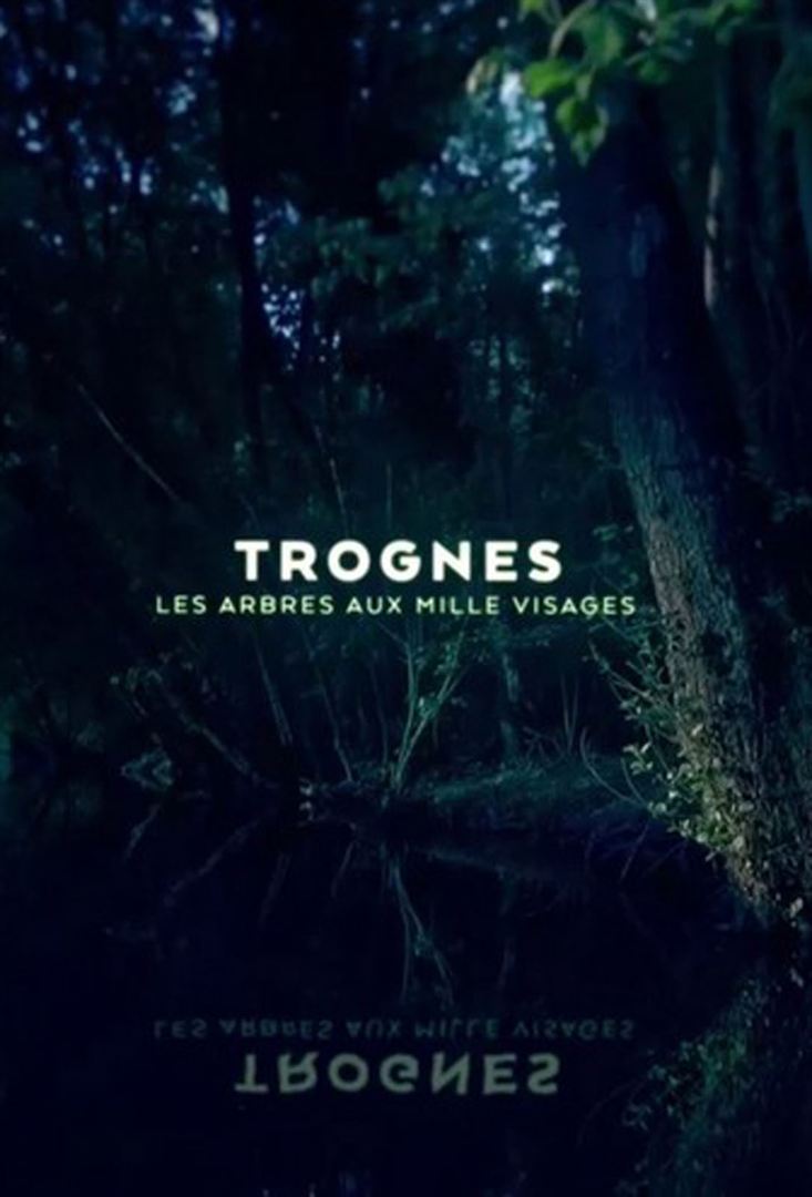 Affiche du court métrage Trognes, les arbres aux milles visages (2017) de Timothée Janssen. Voir Trognes, les arbres aux milles visages en streaming / torrent sur meilleurs-films.fr