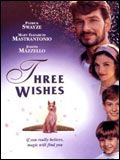 Affiche du film Trois voeux (1995) de Martha Coolidge Affiche du film Trois voeux (1995) de Martha Coolidge. Voir Trois voeux en streaming / torrent sur meilleurs-films.fr