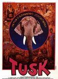 Affiche du film Tusk (1980) de Alejandro Jodorowsky. Voir Tusk en streaming / torrent sur meilleurs-films.fr