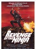 Affiche du film Ultime Violence – Ninja 2 (1983) de Sam Firstenberg. Voir Ultime Violence – Ninja 2 en streaming / torrent sur meilleurs-films.fr