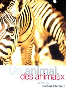Affiche du film Un animal, des animaux (1994) de Nicolas Philibert Affiche du film Un animal, des animaux (1994) de Nicolas Philibert. Voir Un animal, des animaux en streaming / torrent sur meilleurs-films.fr