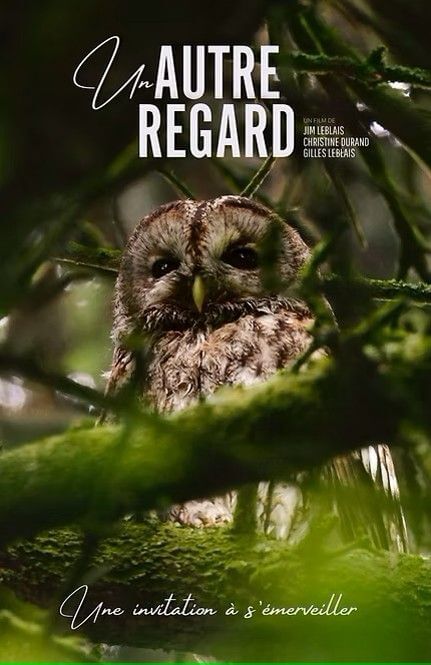 Affiche du film Un autre regard (2024) de Jim Leblais Affiche du film Un autre regard (2024) de Jim Leblais. Voir Un autre regard en streaming / torrent sur meilleurs-films.fr