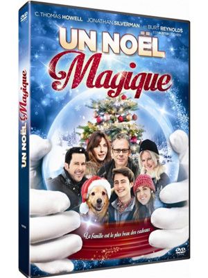 Affiche du film Un Noël magique (2014) de R. Michael Givens. Voir Un Noël magique en streaming / torrent sur meilleurs-films.fr