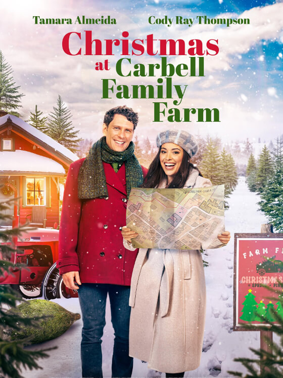 Affiche du film Un Noël plein d’histoires (2023) de Graeme Campbell. Voir Un Noël plein d’histoires en streaming / torrent sur meilleurs-films.fr