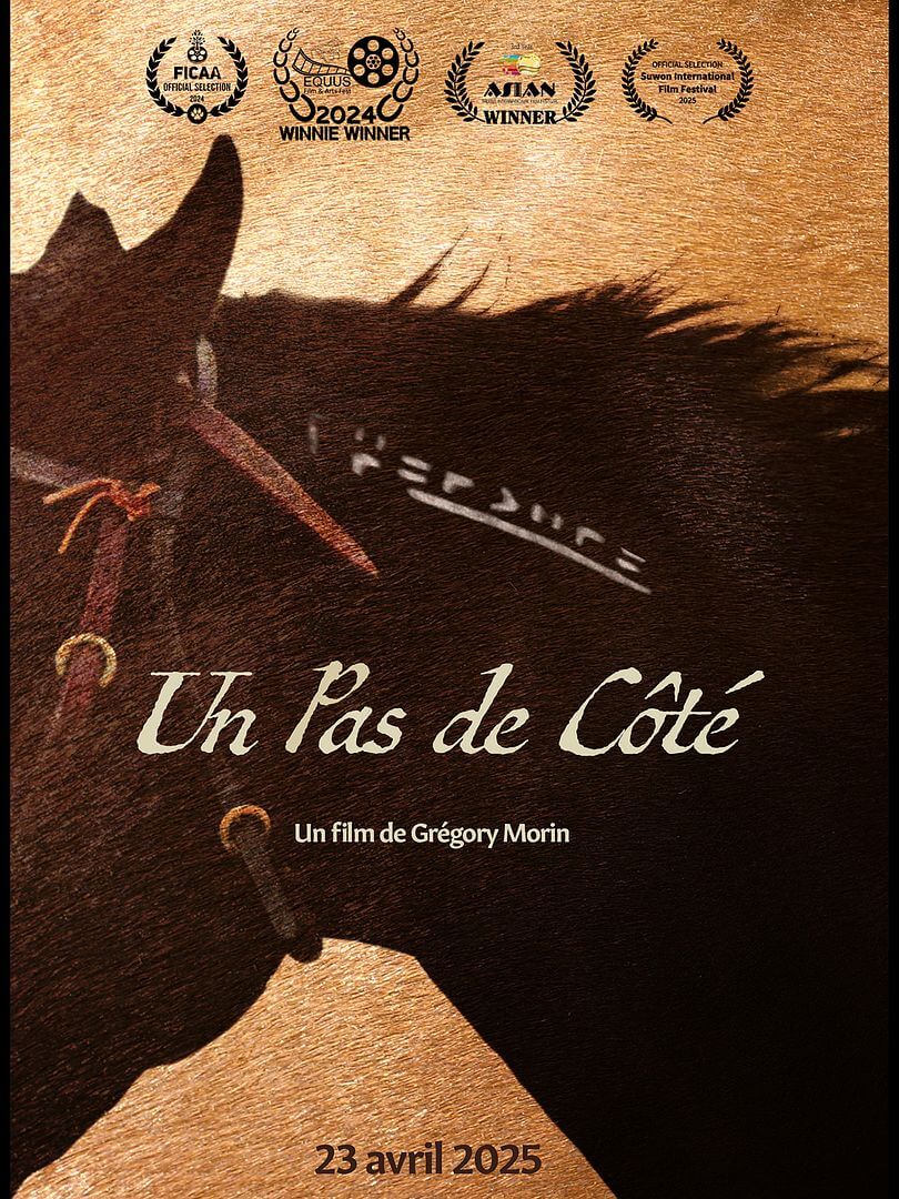 Affiche du film Un Pas de Côté (2025) de Grégory Morin