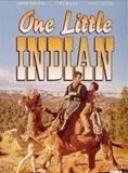 Affiche du film Un Petit Indien (1973) de Bernard McEveety Affiche du film Un Petit Indien (1973) de Bernard McEveety. Voir Un Petit Indien en streaming / torrent sur meilleurs-films.fr