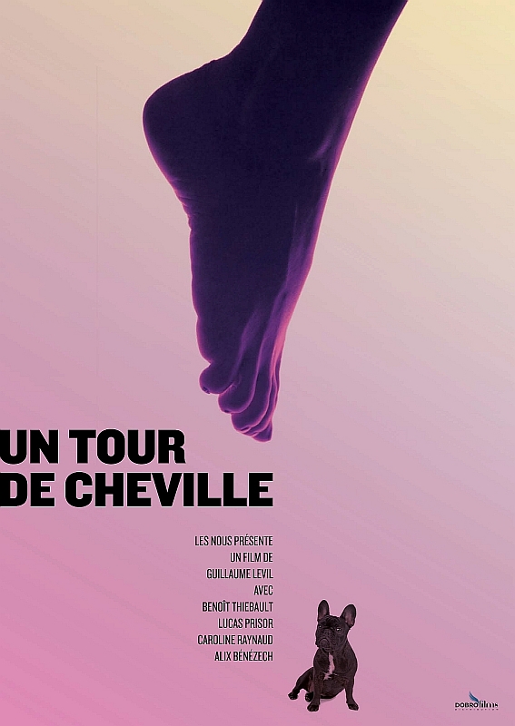 Affiche du court métrage Un tour de cheville (2015) de Guillaume Levil. Voir Un tour de cheville en streaming / torrent sur meilleurs-films.fr