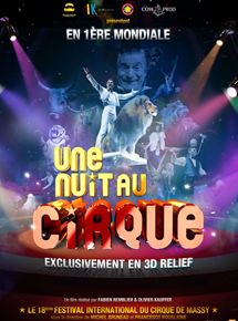 Affiche du film Une nuit au cirque 3D (2010) de Fabien Remblier,Olivier Kauffer,. Voir Une nuit au cirque 3D en streaming / torrent sur meilleurs-films.fr