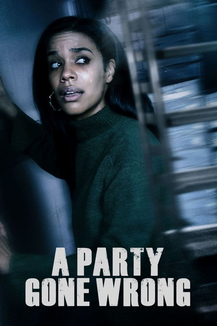 Affiche du film Une nuit glaçante pour ma fille (2021) de Dylan Vox. Voir Une nuit glaçante pour ma fille en streaming / torrent sur meilleurs-films.fr