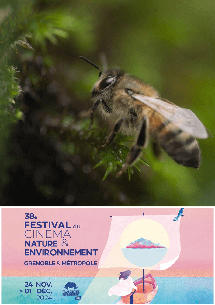 Affiche du film Vivre Ensemble : S’inspirer du vivant – Festival du Cinéma Nature et Environnement  2024 (2026) de Amir Agha Abdollahi. Voir Vivre Ensemble : S’inspirer du vivant – Festival du Cinéma Nature et Environnement  2024 en streaming / torrent sur meilleurs-films.fr