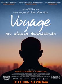 Affiche du film Voyage en pleine conscience (2017) de Marc Francis,Max Pugh,. Voir Voyage en pleine conscience en streaming / torrent sur meilleurs-films.fr