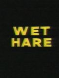 Affiche du court métrage Wet Hare (1962) de Robert McKimson Affiche du court métrage Wet Hare (1962) de Robert McKimson. Voir Wet Hare en streaming / torrent sur meilleurs-films.fr