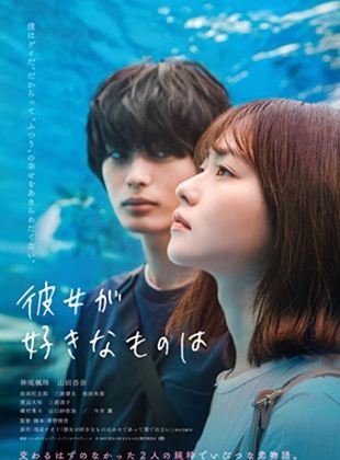 Affiche du film What She Likes… (2022) de Naoto Asahara. Voir What She Likes… en streaming / torrent sur meilleurs-films.fr