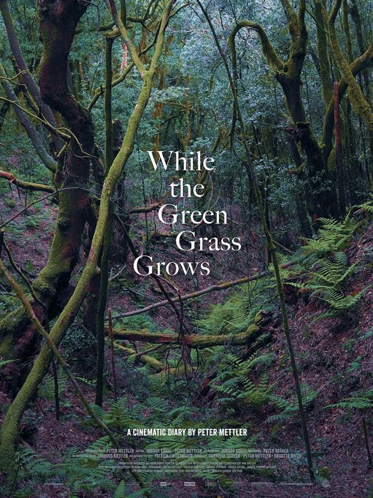 Affiche du film While the Green Grass Grows (2023) de Peter Mettler Affiche du film While the Green Grass Grows (2023) de Peter Mettler. Voir While the Green Grass Grows en streaming / torrent sur meilleurs-films.fr