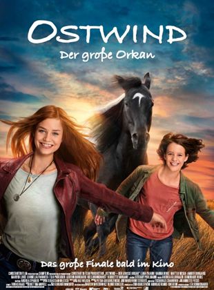 Affiche du film Whisper 5 : Le grand ouragan (2021) de Lea Schmidbauer. Voir Whisper 5 : Le grand ouragan en streaming / torrent sur meilleurs-films.fr