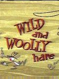 Affiche du court métrage Wild and Woolly Hare (1959) de Friz Freleng. Voir Wild and Woolly Hare en streaming / torrent sur meilleurs-films.fr