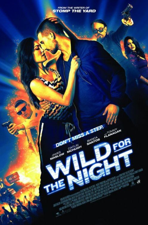 Affiche du film Wild for the Night (2016) de Benny Boom. Voir Wild for the Night en streaming / torrent sur meilleurs-films.fr