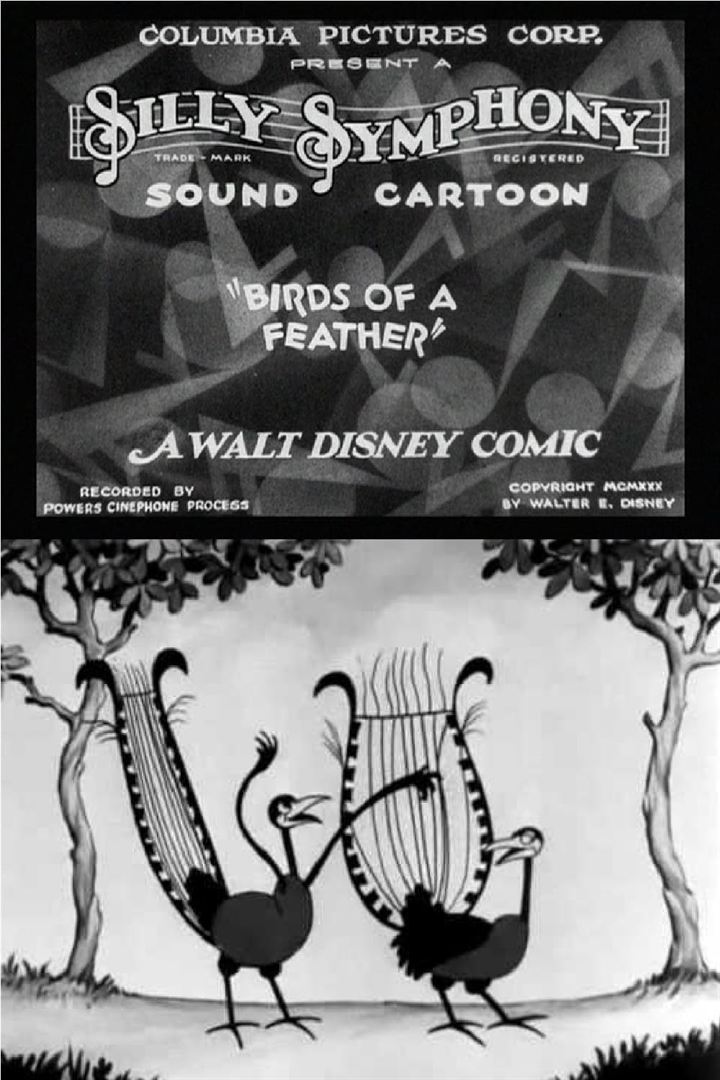 Affiche du court métrage Woody Goguenarde (1931) de Burt Gillett. Voir Woody Goguenarde en streaming / torrent sur meilleurs-films.fr